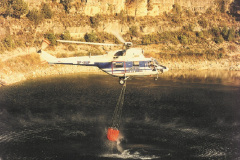 Shiszp1-800